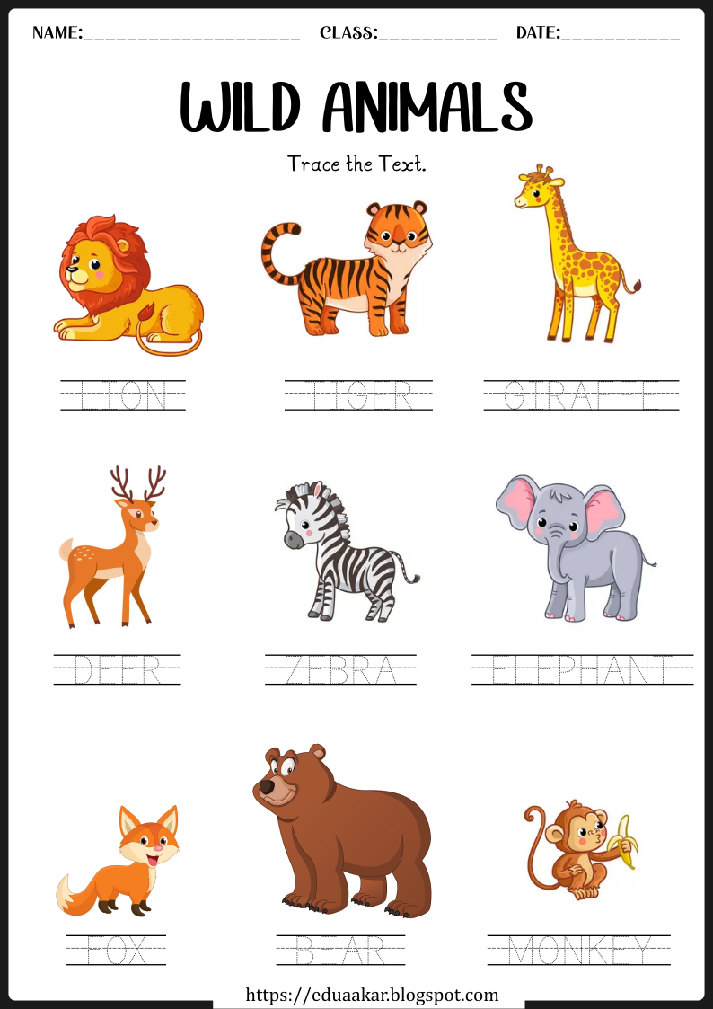 Wild Animals worksheets