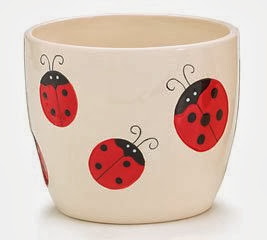 Ladybug Home Decor