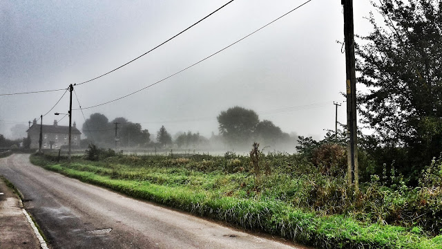 Project 366 2016 day 285 - Foggy mornng run // 76sunflowers