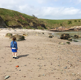 Haven Berwick beach 