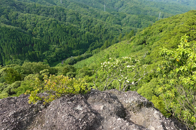 鳥取県西伯郡南部町八金 金華山登山道からの眺望