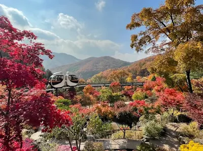 가을단풍