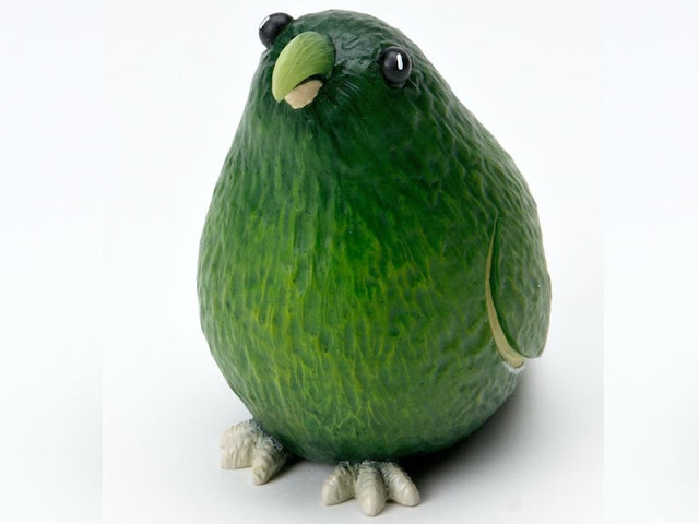 avocado bird fruit arts