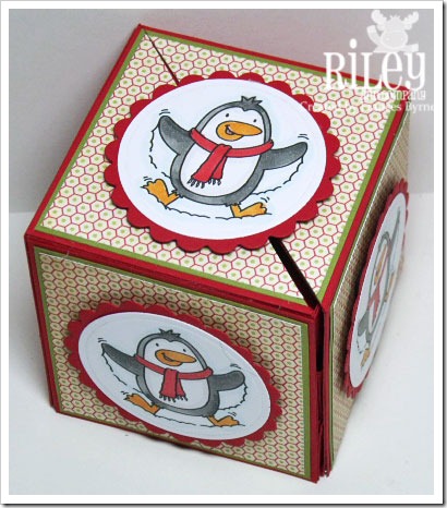 Riley-PeteSecretBox2-wm