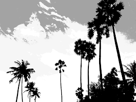 silhouette of palm trees in shades of grey