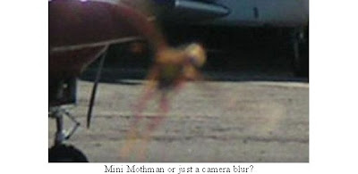 Mini Mothman Blurry Photograph