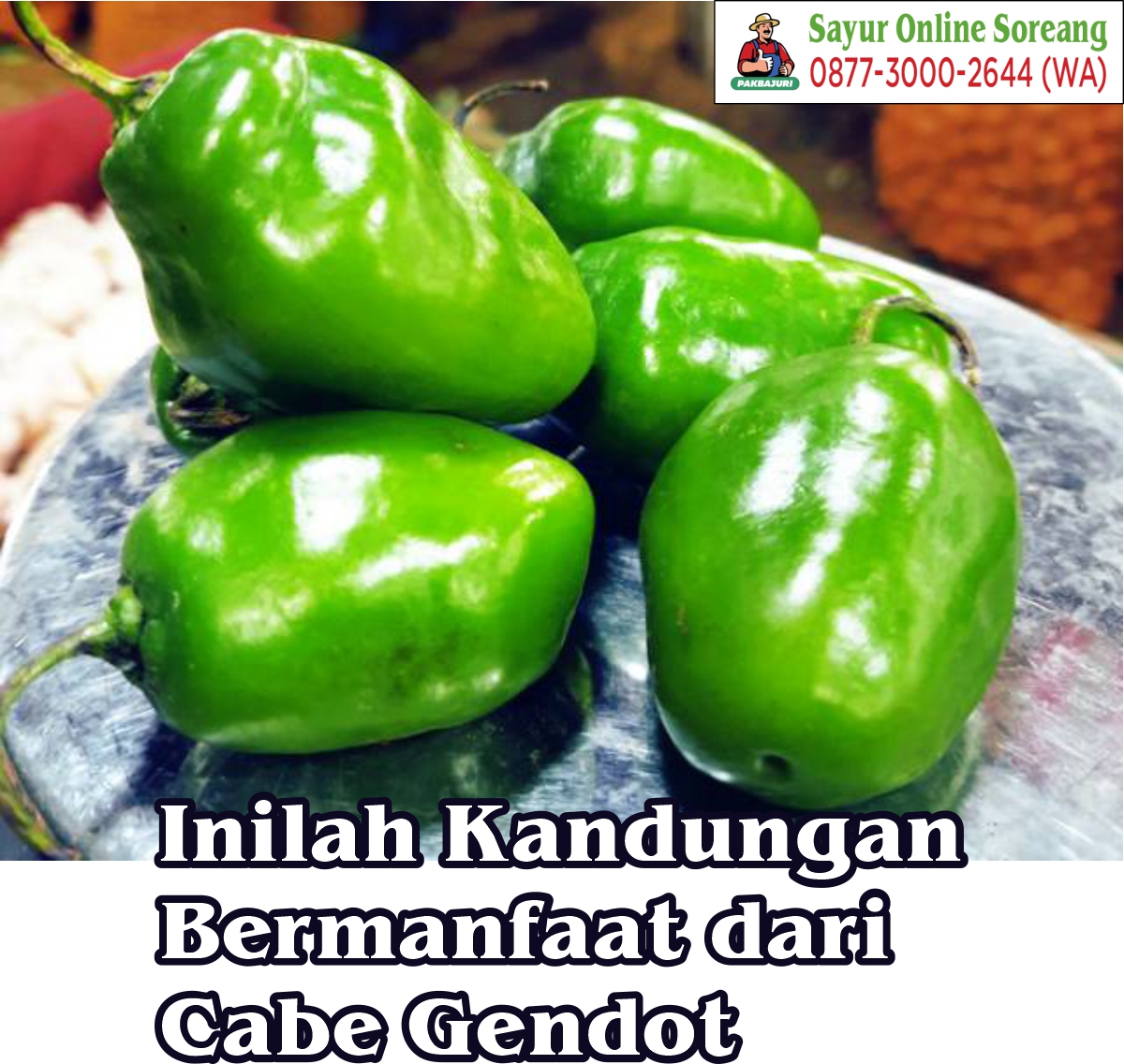 Inilah Kandungan Bermanfaat dari Cabe Gendot