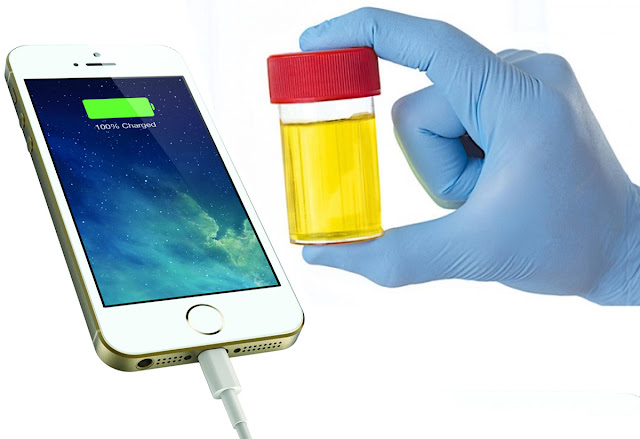 How to use Urine to charge smartphone now Urine turn into Electricity