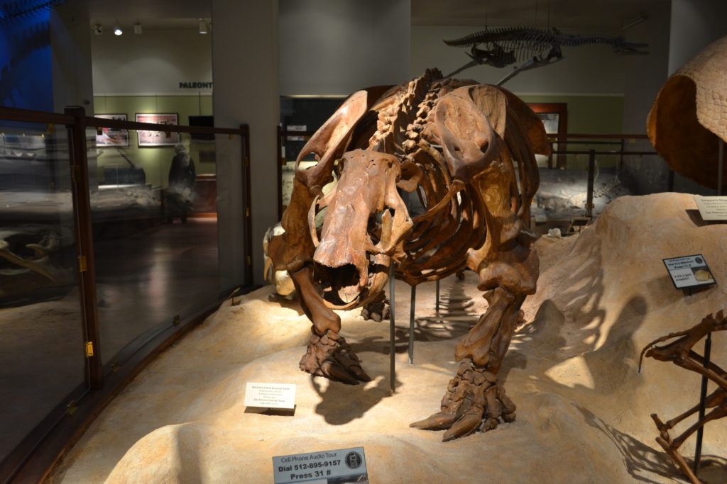 Preguiça Gigante: descubra a fascinante criatura pré-Histórica que habitou parte do Brasil, e seus mistérios