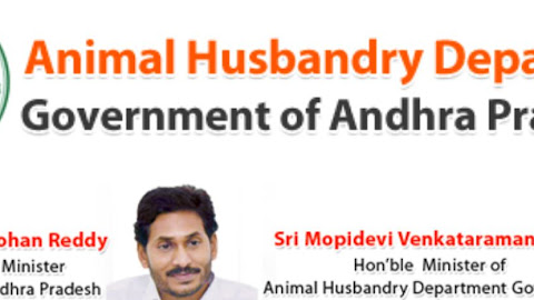AP VAS Model Question Paper 2020 and Syllabus PDF- Previous Question Papers