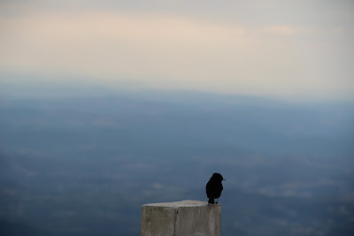 Do alto da Serra da Piedade: foto Danielli Vargas