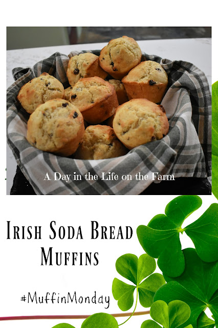 Irish Soda Muffins pin