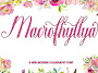 Macrofhyllya Script Font  Free  Download