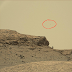 Sol 1387 And 1388 Has A UFO That Nobody Saw