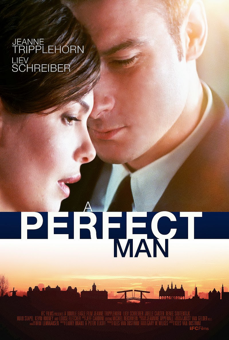 capa Download – A Perfect Man – WEBRip ( 2013 )
