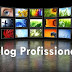O que é um blog profissional