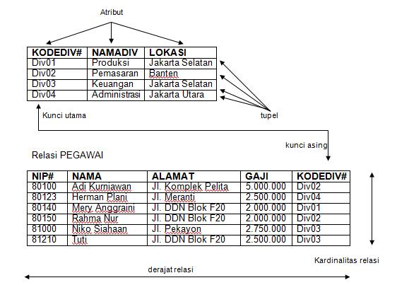 Perbedaan model data relasional, jaringan dan hirarkis 