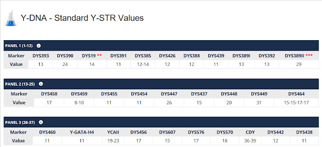 Family tree DNA Y-DNA results