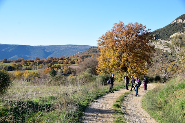 https://ociointeligenteparavivirmejor.blogspot.com/2023/12/fotografias-personales-44-excursion-con.html