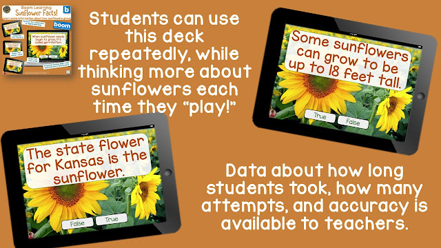 Sunflower Learning Fun: Who knew there were so many ways to learn and practice important skills with sunflowers?