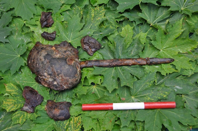 Один из черепов, найденных в Мотале, Швеция