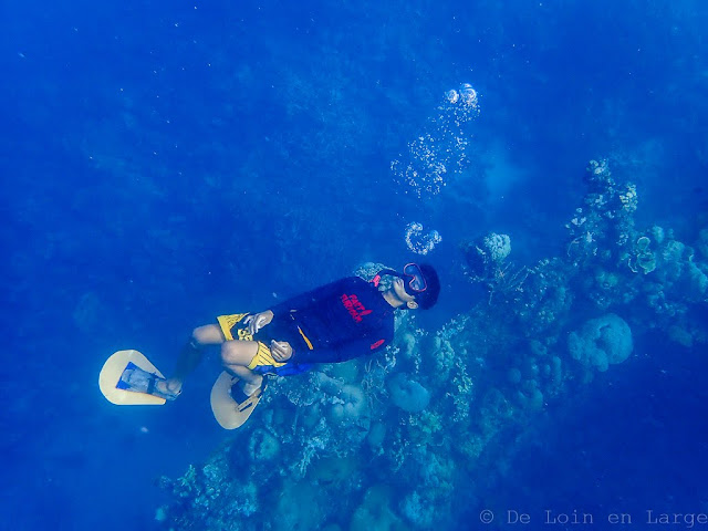 Skeleton Wreck-Coron-Philippines 