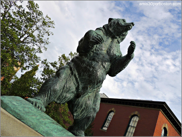 Oso de la Universidad de Brown en Providence