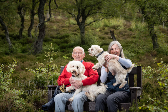 Cheap dog portrait gift vouchers Aberdeen