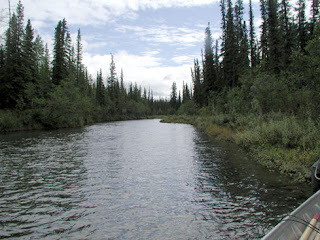 providence creek-Alaska