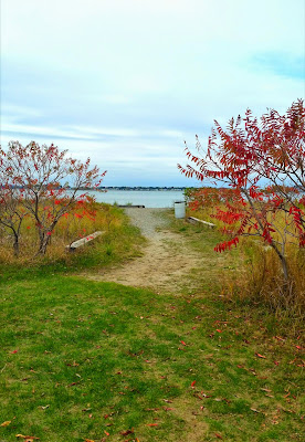 Webb-Memorial-State-Park-Weymouth-MA-Travel-the-East