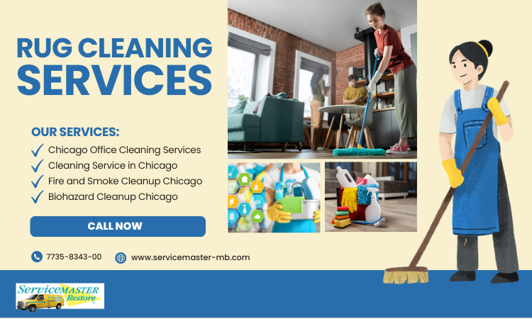 Rug Cleaning Chicago