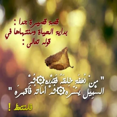 صور اسلامية