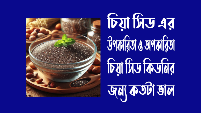 চিয়া সিড এর উপকারিতা ও অপকারিতা জেনে নিন - চিয়া সিড কিডনির জন্য কতটা ভাল