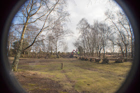 Old Lodge Nature Reserve, Ashdown Forest.  22 February 2018