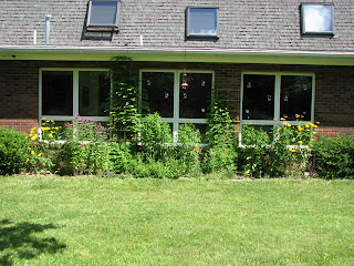 Side garden, midsummer