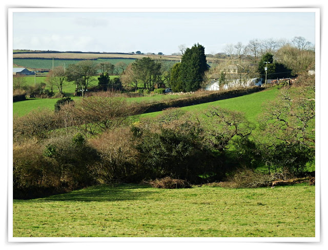 Green fields at St.Mewan, Cornwall