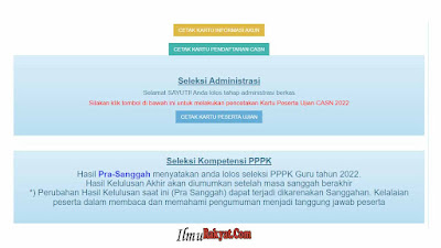 Hasil PPPK Guru 2022 di UMUMKAN, P1, P2, P3 dan P Umum CEK LINK INI