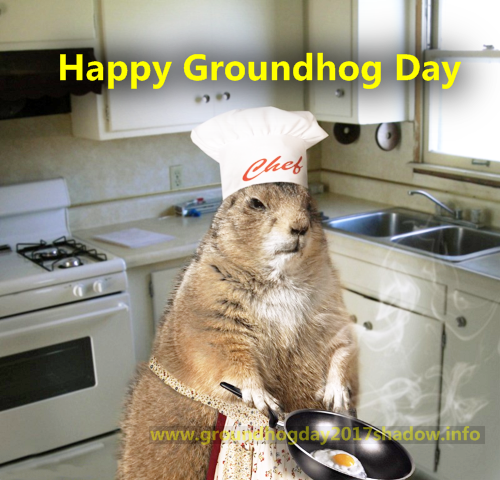 happy groundhog day