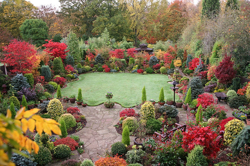 Autumn Garden4