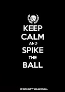 KEEP CALM Volleyball Poster. Posted 5th May 2012 by Jim