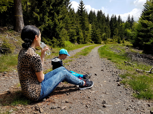 Wielka Sowa z dzieckiem - Wielka Sowa z wózkiem dziecięcym - trasy na Wielką Sowę -najwyższy szczyt w Górach Sowich - podróże z dzieckiem - góry z dzieckiem - wózki cybex - rodzinne podróże - blog rodzicielski