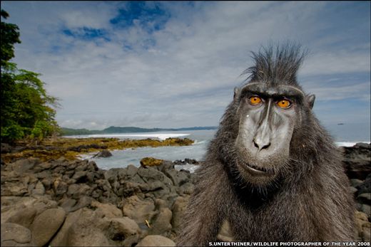 Awardwinningphotos9 in 40 Outstanding Award Winning Photos Around the World