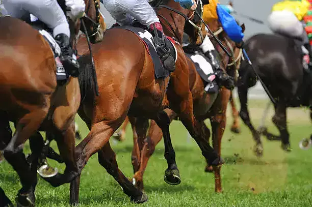 C7 Prix de Sussex