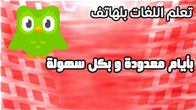 شرح تطبيق Duolingo