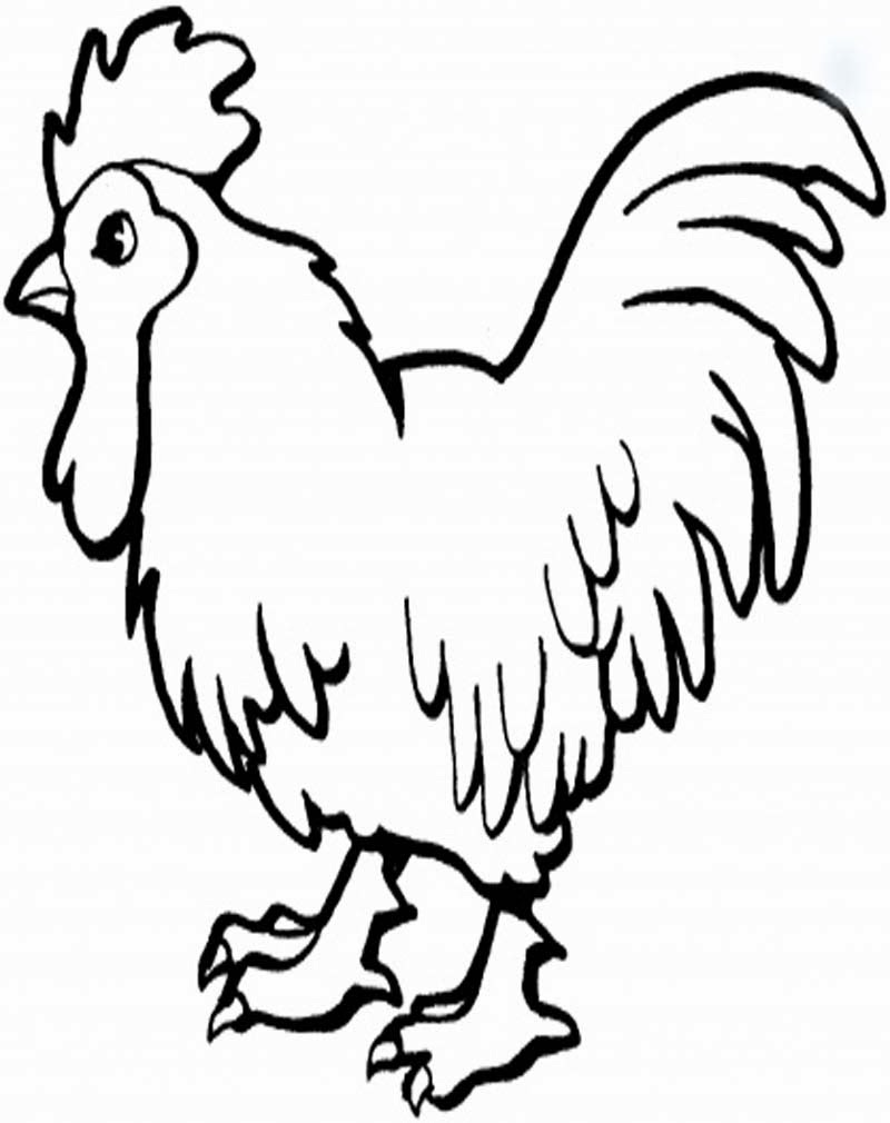 Contoh Gambar Kartun  Ayam  Toast Nuances