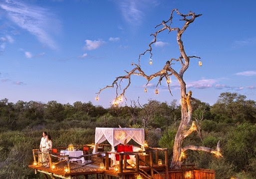 Coolest Tree House Hotel in the deep Africa