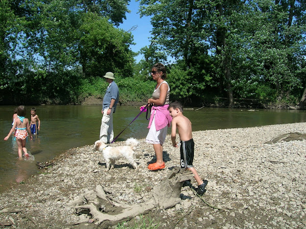 Action photo of the creek