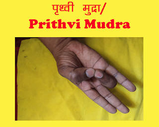 पृथ्वी मुद्रा/Prithvi Mudra in hastha chikitsa