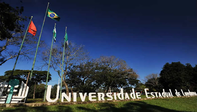 Universidade oferece 229 vagas para Licenciatura em Computação EAD gratuito.