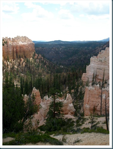 WestTrip,Week6 085